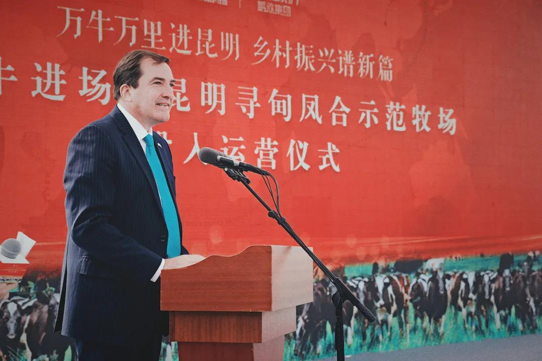 1626742864848162.jpg 5.jpg