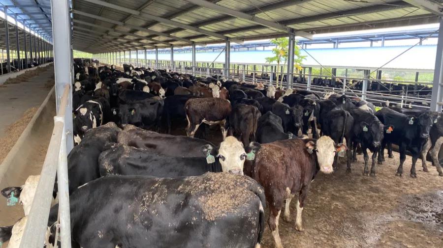 1641776050386277.jpg WeChat Image_20220110085357.jpg