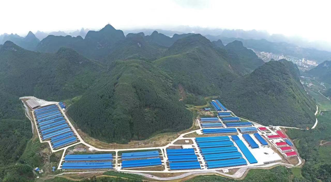 1694593831581418.jpg 1694593831581418.jpg